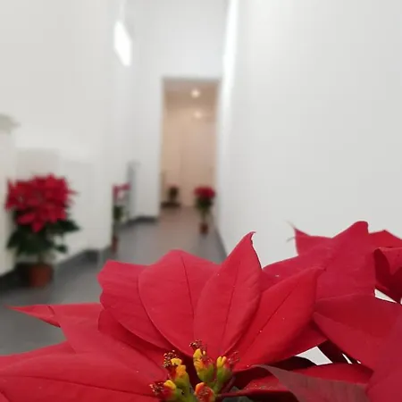 Bed & Breakfast Pupi 93 2*