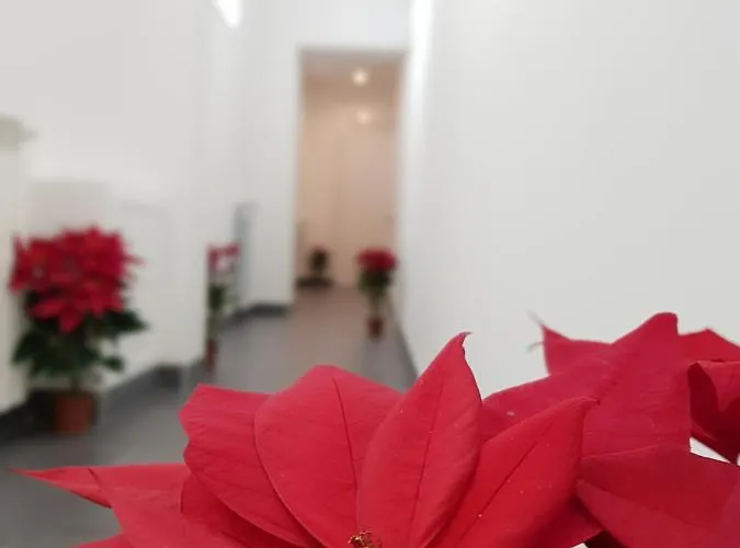 فندق مبيت وإفطار Pupi 93 3*